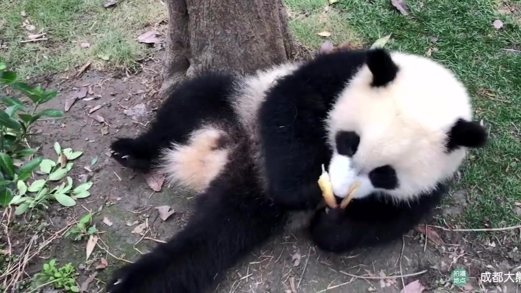 【每日一滚】像极了打包的食物不合胃口的你